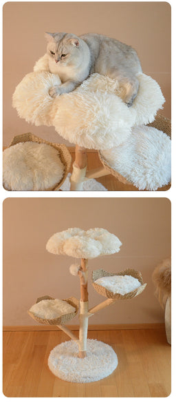 Cat Climbing Solid Wood Rattan Scratching Tree