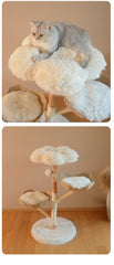 Cat Climbing Solid Wood Rattan Scratching Tree