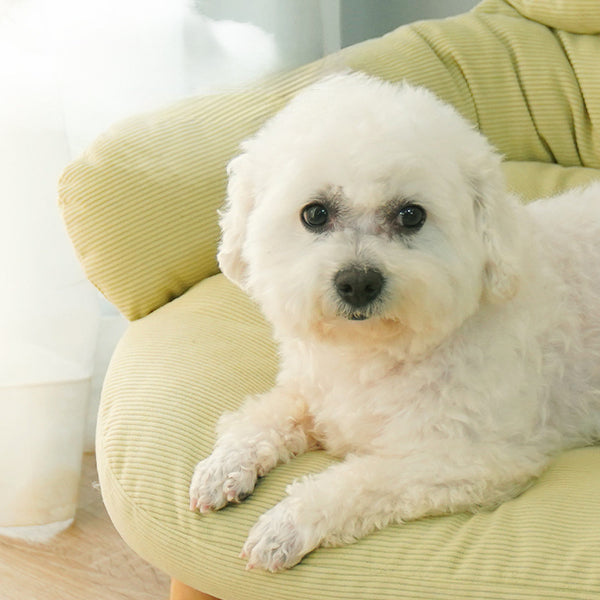 Plush Elevated Fabric Indoor Pet Bed with Solid Wood Legs