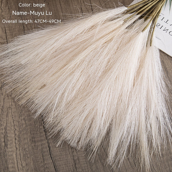 Muyu Reed PAMPAS Home Decoration
