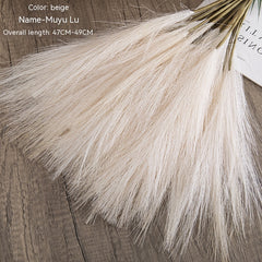 Muyu Reed PAMPAS Home Decoration