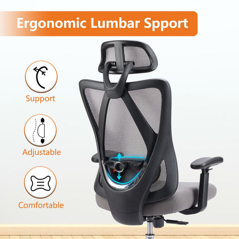 Ergonomic Office Chair