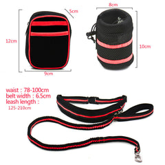 Reflective pet traction set