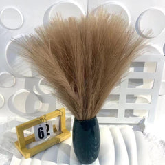 Cross-border Amazon Simulation Reed Pampas Grass