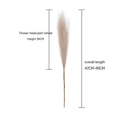 Muyu Reed PAMPAS Home Decoration