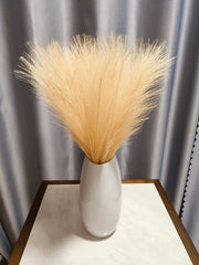 Cross-border Amazon Simulation Reed Pampas Grass