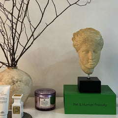 Medieval Light Luxury Art Portrait Sculpture Ornament