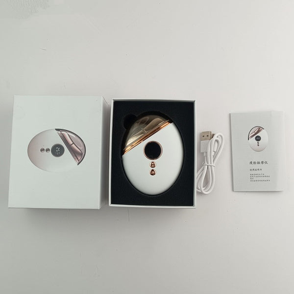 Small Facial EMS Micro-current Face Slimming Device Beauty Instrument
