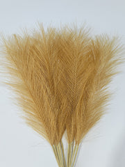 Cross-border Amazon Simulation Reed Pampas Grass