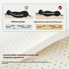 Latex Antibacterial Tear-resistant Waterproof Pet bed