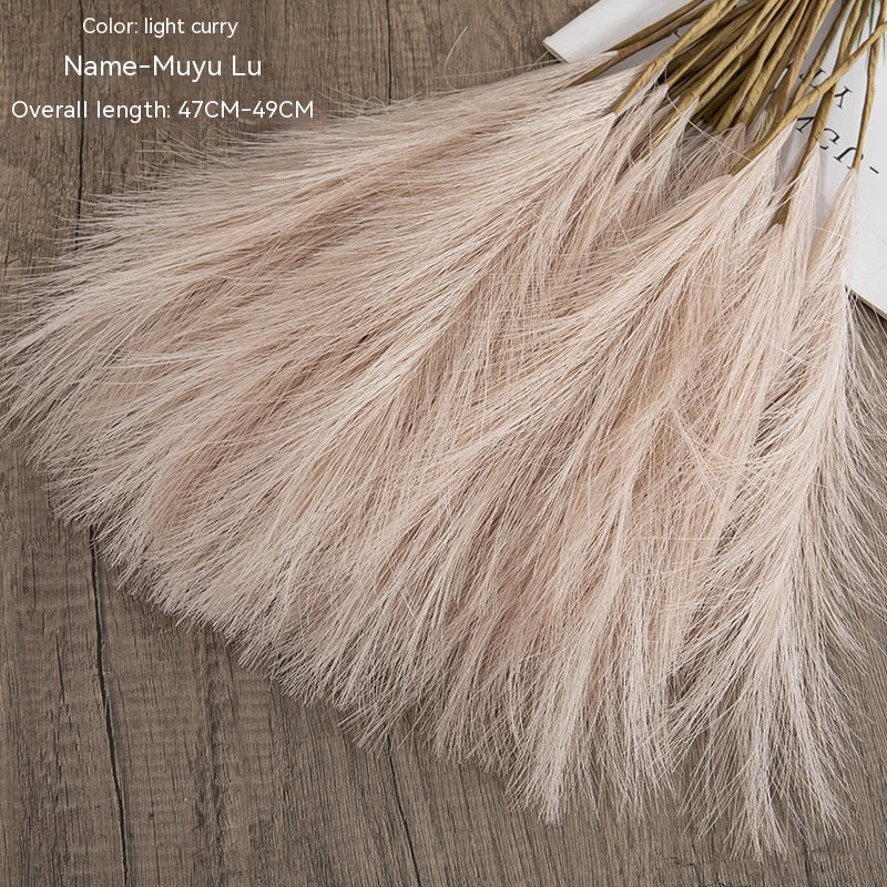 Muyu Reed PAMPAS Home Decoration
