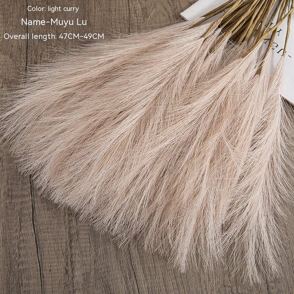 Muyu Reed PAMPAS Home Decoration