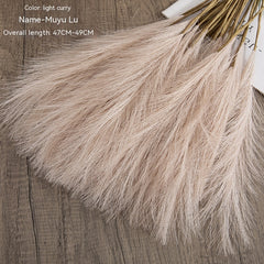 Muyu Reed PAMPAS Home Decoration
