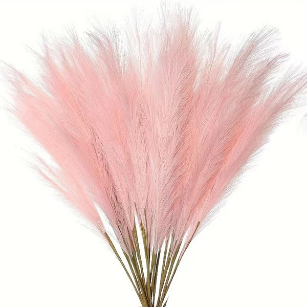 Cross-border Amazon Simulation Reed Pampas Grass