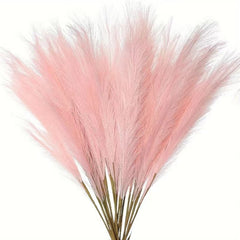 Cross-border Amazon Simulation Reed Pampas Grass