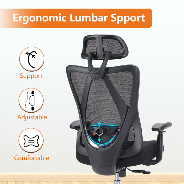Ergonomic Office Chair