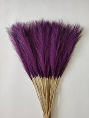 Cross-border Amazon Simulation Reed Pampas Grass