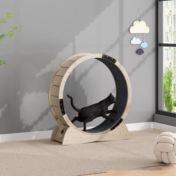 Cat Wheel Treadmill Roller Large for Stimulation and Weight Loss Exercise