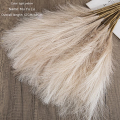 Muyu Reed PAMPAS Home Decoration