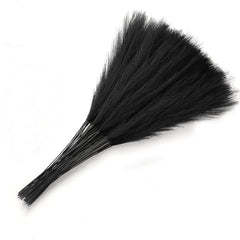 Cross-border Amazon Simulation Reed Pampas Grass