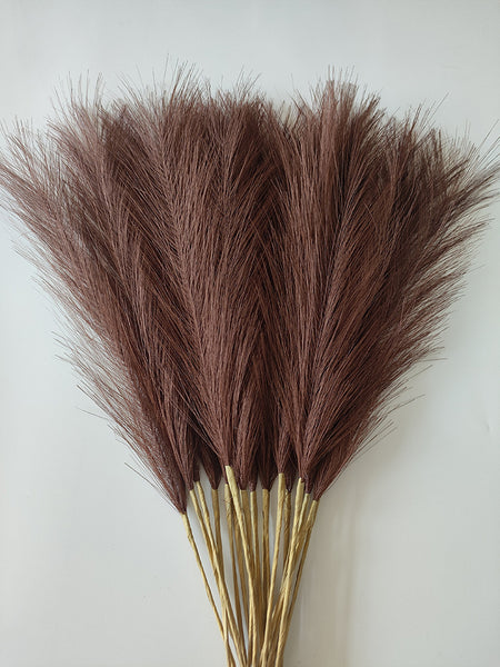 Cross-border Amazon Simulation Reed Pampas Grass