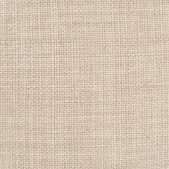 Mid Century Lounge Chair